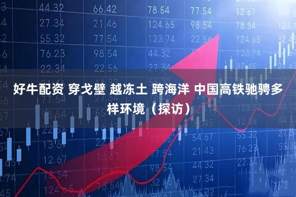 好牛配资 穿戈壁 越冻土 跨海洋 中国高铁驰骋多样环境（探访）
