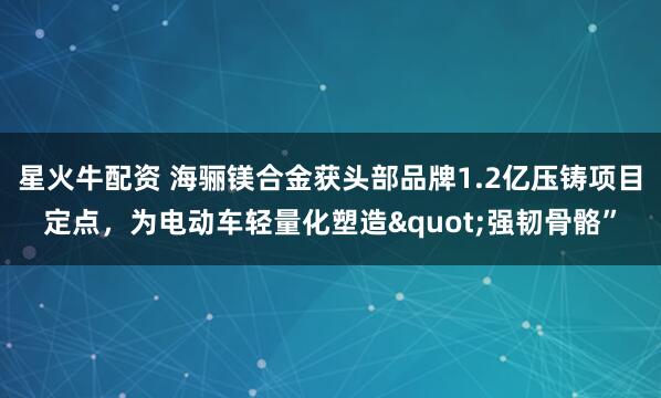 星火牛配资 海骊镁合金获头部品牌1.2亿压铸项目定点，为电动车轻量化塑造"强韧骨骼”